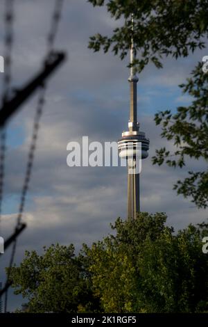 Vue sur la Tour CN derrière les branches d'arbres à Toronto Banque D'Images