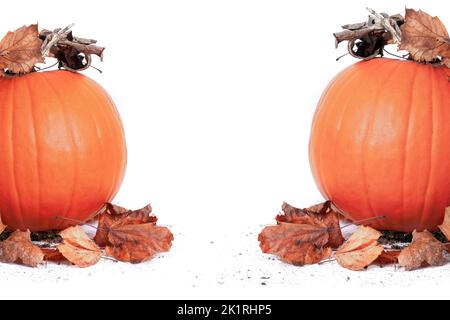 Citrouilles d'automne isolées sur du blanc avec des feuilles brunes tombées et un espace de copie Banque D'Images