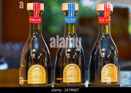 La brasserie Naùera à Lousteau, Lesparre-Médoc, France Banque D'Images