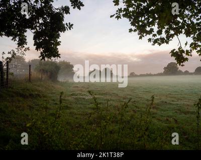 Misty Early sunrise in Gawsworth. Looking across the fields as the mist hangs Stock Photo