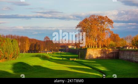 Automne et feuillage à Lucques. Ancien parc des remparts de la ville avec feuilles automnales au coucher du soleil Banque D'Images