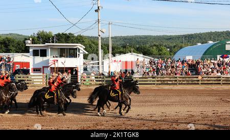 Les chevaux de la Gendarmerie royale du Canada capturés lors de l'équitation de Lawrencetown au Canada Banque D'Images