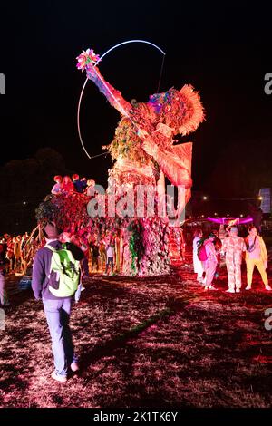 NIGHT, WICKER MAN : The festival foule at the Green Man Wicker Man at Night at the Green Man 2022 festival de musique au pays de Galles, Royaume-Uni. Photo : Rob Watkins/Alamy Banque D'Images