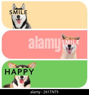 Collection de chiens heureux sur fond de couleur avec espace pour le texte Banque D'Images