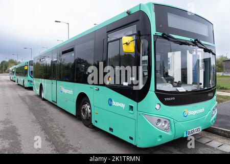 Vue latérale de trois bus stationnés 'Stagecoach' avec roues de guidage horizontales devant les roues avant à St. Ives, bus guidé Cambridgeshire Banque D'Images