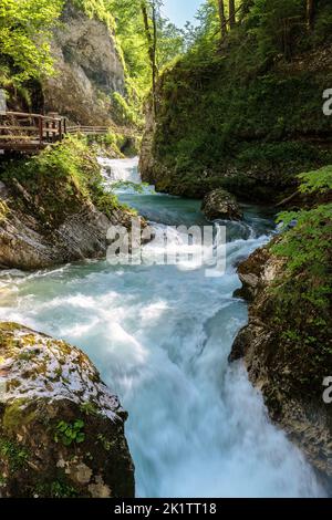 Soteska Vintgar, gorge de Vintgar près de Bled, Slovénie, Europe Banque D'Images