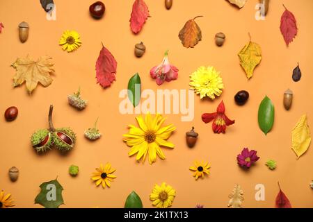 Composition avec de belles fleurs, des feuilles, des glands et des châtaignes sur fond de couleur Banque D'Images