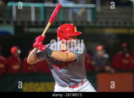 Ratisbonne, Bavière, Allemagne. 20th septembre 2022. L'Espagne, Gabriel LINO, attend le match de baseball des World Baseball Classic contre la Grande-Bretagne dans l'arène de baseball Armin Wolf à Ratisbonne, en Allemagne. (Image de crédit : © Kai Dambach/ZUMA Press Wire) Banque D'Images