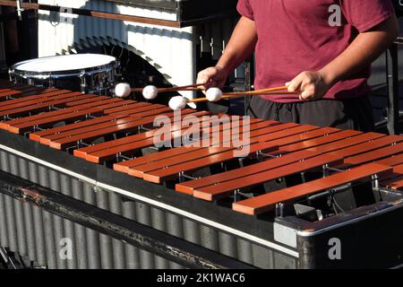 Mains d'un musicien jouant un xylophone Banque D'Images