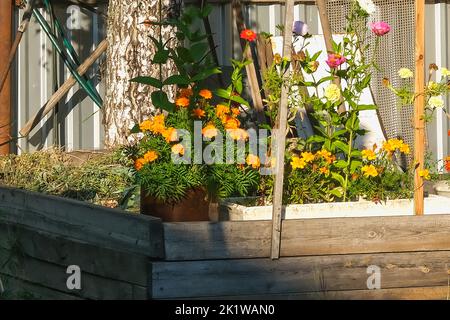 Un tas de compost dans le village. Bac à compost dans le village. Un tas de compost de déchets alimentaires. Bac à compost dans le jardin du village. Banque D'Images