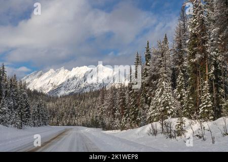 Une montagne et une forêt pittoresques le long de la route du lac Maligne en hiver, parc national Jasper, Alberta, Canada.
