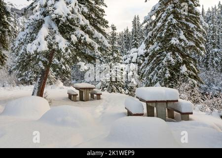 Un site de pique-nique le long de la route du lac Maligne en hiver, parc national Jasper, Alberta, Canada. Banque D'Images