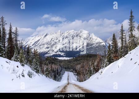 Une montagne et une forêt pittoresques le long de la route du lac Maligne en hiver, parc national Jasper, Alberta, Canada.