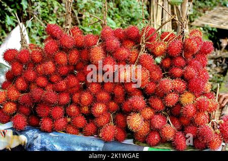 Le rambutan est un fruit de l'asie du Sud-est de la même famille que le Lychee Banque D'Images