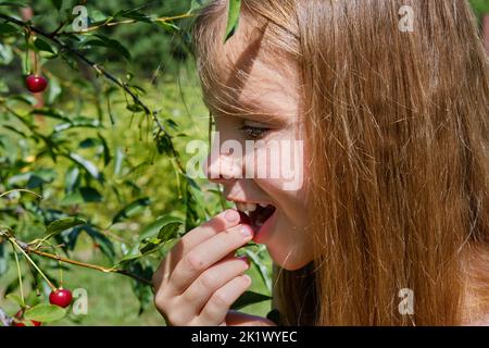 Une adolescente souriante et positive dans le jardin tient une cerise mûre dans sa main et la mange, contre le ciel bleu. Récolte de cerises. Banque D'Images