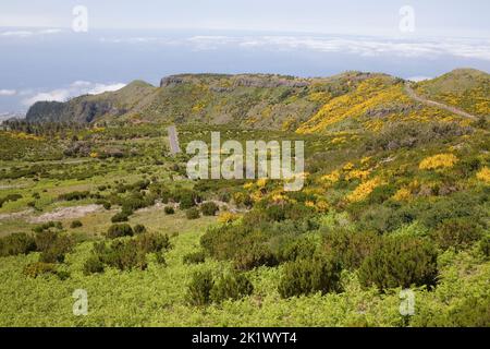 Paysage vert et jaune sur la pente de Pico do Arieiro dans le centre de Madère Banque D'Images