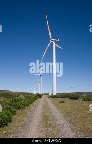 Ligne d'éoliennes près de Cerca do Paul dans la région de Paul da Serra, dans le centre de Madère Banque D'Images