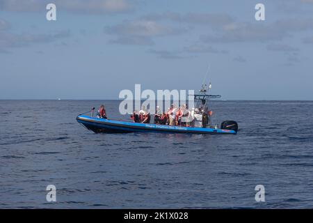 Magic Dolphin Sea Safaris hors-bord sur l'océan Atlantique Banque D'Images