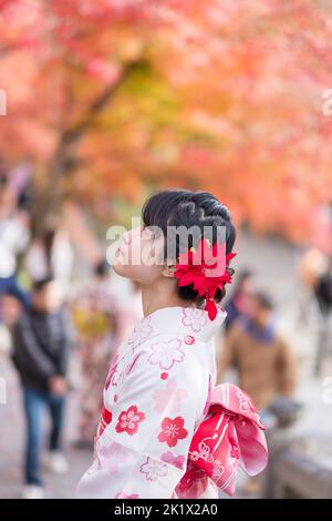 Jeune femme touristique portant un kimono appréciant avec des feuilles colorées dans le temple de Kiyomizu dera, Kyoto, Japon. Fille asiatique avec style de cheveux dans JAPA traditionnel Banque D'Images