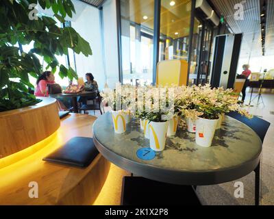 BEIJING, CHINE - le 21 SEPTEMBRE 2022 - les plantes vertes avec des gobelets biodégradables embellissent l'environnement à l'intérieur du McDonald's Shougang Garden resta Banque D'Images