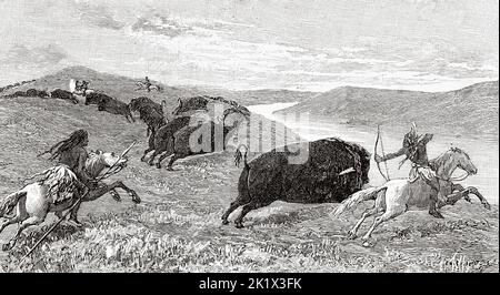 Chasse au bison par les Redskins à cheval, États-Unis. Ancienne illustration gravée du 19th siècle de la nature 1890 Banque D'Images