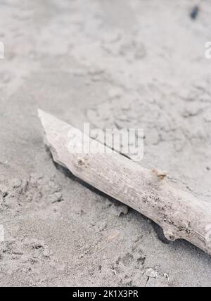 un plan vertical d'un bois de flotté sur un sable Banque D'Images