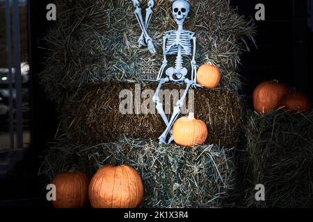 Citrouilles orange, squelette blanc d'halloween sur un foin gris Banque D'Images
