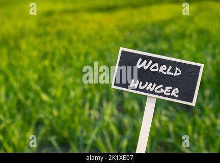 Panneau d'étiquette d'information en bois avec texte FAIM DANS LE MONDE contre l'agriculture défoquée message de terrain. Faim dans le monde, inflation, prix élevés, crise du blé augmentation des dépenses de vie et de la pauvreté, crise financière, question de l'approvisionnement alimentaire concept illustrant la pénurie alimentaire causée par la guerre, les changements climatiques, les plus grands exportateurs de céréales Banque D'Images