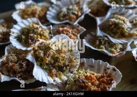 Jacobaeus Pecten dos en coquilles. Pétoncles au gratin. Fruits de mer méditerranéens. Banque D'Images