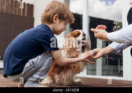 Vue latérale petit curieux garçon nourrissez et entraînement chien intelligent coker spaniel près de la maison. Animal donner le paw à la main de femme court Banque D'Images