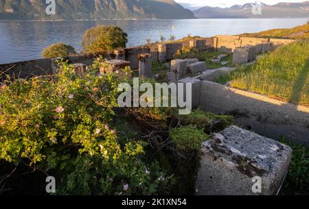 Hareid, Norvège - 25 juin 2022: Le fort costal de Kvitneset a été construit par les Allemands pendant la Seconde Guerre mondiale avec des positions de tir, des camps de prison, le bu de commandement Banque D'Images