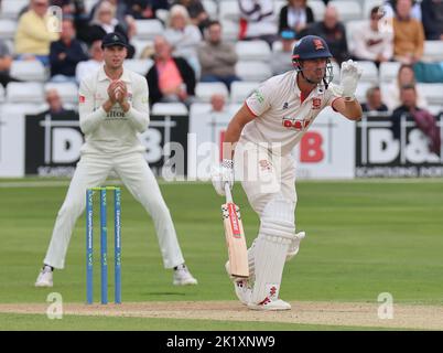 CHELMSFORD ANGLETERRE - SEPTEMBRE 20 : Sir Alastair Cook d'Essex pendant LV= CHAMPIONNAT DE COMTÉ - DIVISION UN jour un match de 4 entre CCC d'Essex encore Banque D'Images