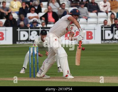 CHELMSFORD ANGLETERRE - SEPTEMBRE 20 :Sir Alastair Cook d'Essex pendant LV= CHAMPIONNAT DU COMTÉ - DIVISION UN jour un match de 4 entre CCC d'Essex encore Banque D'Images