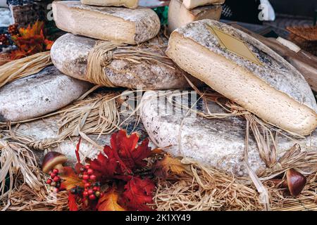 Ronds et morceaux de fromage artisanal sur la cale au marché alimentaire saisonnier à Alba, Piémont, Italie du Nord. Banque D'Images