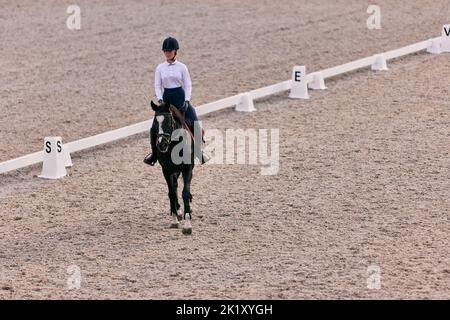 Vue aérienne. Femme pilote à cheval sur le trot autour de l'arène de sable dans la campagne, en été, en plein air. Dressage de chevaux. Cheval Banque D'Images