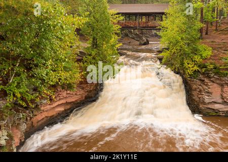 Une cascade sous un pont couvert dans les bois. Banque D'Images