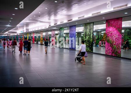 Les personnes qui passent de grandes images colorées de fleurs dans la passerelle souterraine menant aux jardins près de la baie, Marina Bay Singapour Banque D'Images