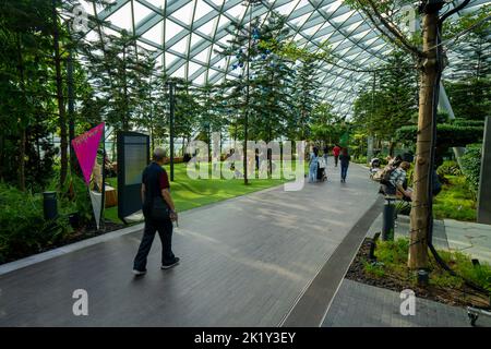 Les personnes qui marchent sur la promenade de Topiary dans le parc Canopy à l'aéroport de Jewel Changi, Singapour Banque D'Images