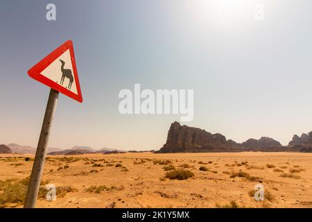 Drôle de signalisation routière avertissement traversant des chameaux dans le désert de Wadi Rum, en Jordanie. Banque D'Images