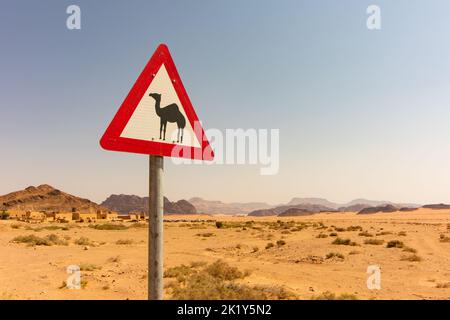 Drôle de signalisation routière avertissement traversant des chameaux dans le désert de Wadi Rum, en Jordanie. Banque D'Images