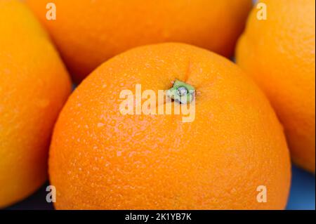 Oranges entières sur fond bleu Banque D'Images