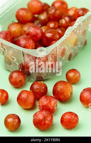 Raisins dans un récipient sur fond vert Banque D'Images