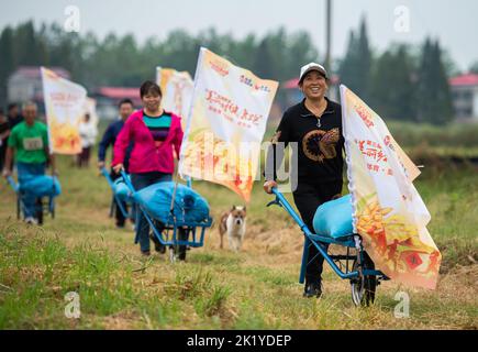 Yiyang, province chinoise du Hunan. 21st septembre 2022. Les gens participent à une course de brouettes dans le village de Dongsheng, dans le canton de Mahekou, dans le comté de Nanxian, dans la province centrale de Hunan en Chine, le 21 septembre 2022. Un jeu de rizières a été organisé ici mercredi pour les habitants et les touristes afin d'accueillir le prochain festival de récolte des agriculteurs chinois. Credit: Chen Sihan/Xinhua/Alay Live News Banque D'Images