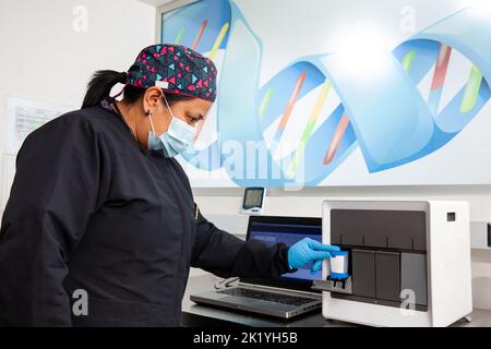 Femme scientifique travaillant au laboratoire avec un thermocycleur. Technique de réaction en chaîne par polymérase. Technique PCR Banque D'Images