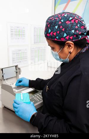 Femme scientifique travaillant au laboratoire avec un thermocycleur. Technique de réaction en chaîne par polymérase. Technique PCR Banque D'Images