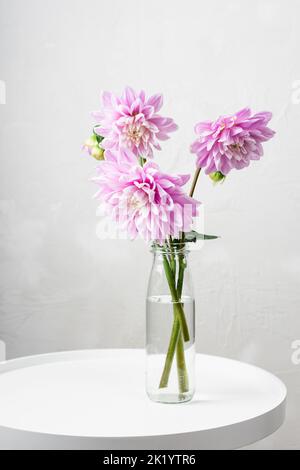 Bouquet de fleurs de dahlia roses dans un vase en verre. Banque D'Images