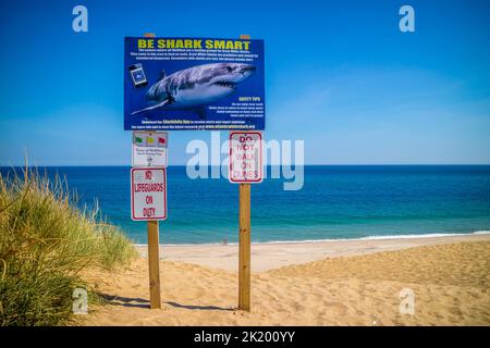 Les nageurs et les échassiers des directives de sécurité dans la région de Cape Cod National Seashore Banque D'Images