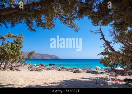 La plage de sable populaire de Kedrodasos près d'Elafonisi, Chania, Crète, Grèce. Banque D'Images