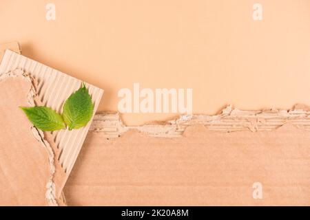 Papier arrière-plan d'emballage durable - de nombreuses feuilles de carton ondulé comme arrière-plan écologique avec espace de copie. Feuilles vertes comme symbole de p durable Banque D'Images