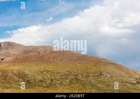 Vue sur les contreforts de Mt. Bierstadt depuis Guanella Pass, Colorado, États-Unis Banque D'Images